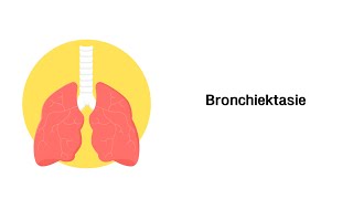 Bronchiektasen  Erkrankungen der Atemwege [upl. by Leach353]