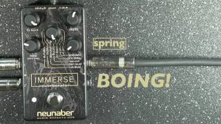 Neunaber Immerse Reverberator Review Demo  BestGuitarEffectscom [upl. by Hedley261]