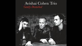 Avishai Cohen  Variations In G Minor [upl. by Aihseit]