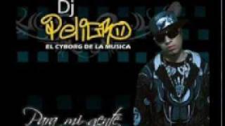 Dj Peligro ft Kale  reggaeton de la quinceañera 2010 [upl. by Hannie]