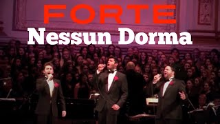 Forte  Nessun Dorma  Carnegie Hall Debut [upl. by Kevyn]