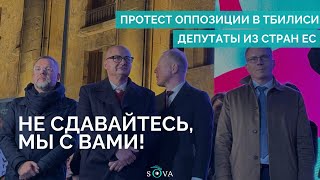 Депутаты из стран ЕС на митинге оппозиции в Тбилиси [upl. by Adorl]