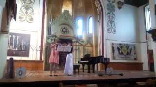 Sonata for 2 flutes Hoffmeister Boldor Maria [upl. by Anaihsat452]