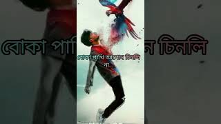 Bokha pakhi apun chinli na pleasesubscribemychannel AB short channel new song lyrics song [upl. by Suolkcin]