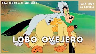 Lobo Ovejero  Los mejores dibujos animados en ESPAÑOL  1942 [upl. by Onfre]