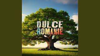 Dulce Românie [upl. by Meek]