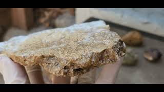 Mineral Rock Identification using Hydrogen Peroxide [upl. by Lorri]