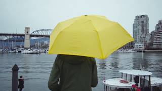 Hedgehog Umbrella  Designed for the Urban Lifestyle [upl. by Cowan]