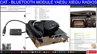 CAT  BLUETOOTH MODULE YAESU XIEGU RADIOS [upl. by Tonjes]