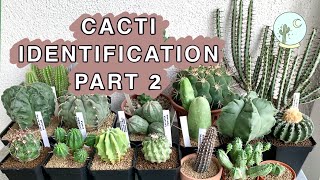 Cacti Identification Part 2 — Ep 09 [upl. by Isaac]