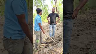 Noakhali funny video funny foryou  comedy  comedyvideos gaziteam [upl. by Assirem]