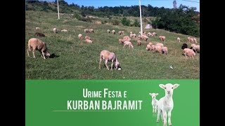 URIME FESTA E KURBAN BAJRAMIT 2023  Fshati Sllovi [upl. by Carnay195]