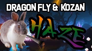 Dragon Fly amp Kozan  HAZE prod KisumBeatz amp PrymusBeats Offizielles Musikvideo [upl. by Dirraj]