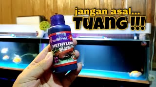 METHYLENE BLUE  BUAT TREATMENT SETELAH WATERCHANGE  APAKAH AMAN ❓❓ [upl. by Ynatterb]