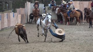 coleadero en el lienzo charro el zacatecano 03202021 [upl. by Attennaej987]