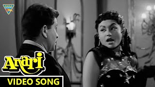 Nineteen Fifty Six Nineteen Fifty Seven Video Song – Anari Movie Songs  Bollywood Classic Songs [upl. by Ingraham711]