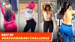 Best Of KachaBadam Challenge🔥 ft Anjali Arora Sofia amp others  Kacha Badam Instagram Reels [upl. by Acemaj462]