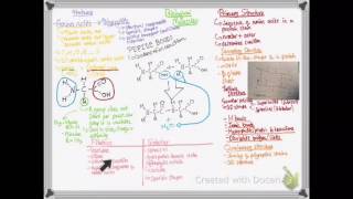 OCR A LEVEL BIOLOGY  UNIT 22  PROTEINS AND INORGANIC IONS [upl. by Hance]