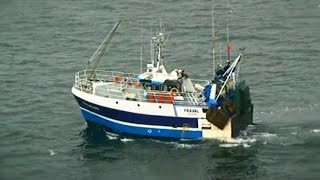 Moule Sauvage de Barfleur  Normandie [upl. by Adlog]