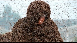 Bee Attacks  6 UnBEElievable Stories  ABC News Remix [upl. by Bolt210]