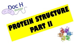 OCR ALevel Biology  Proteins  Part 2 212 Biological Molecules [upl. by Eisnyl759]