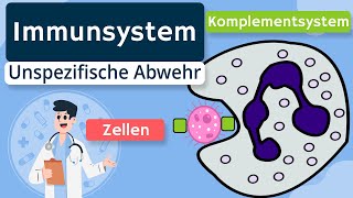 Unspezifische Immunabwehr Zellen Komplementsystem  Immunsystem einfach erklärt [upl. by Ayat]