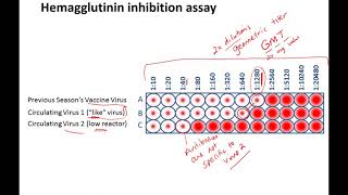 Figures for Influenza intro lecture [upl. by Merla]