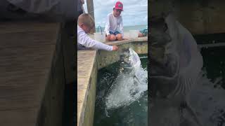 GIANT TARPON feeding  Robbie’s Islamorada FL  SLOMO [upl. by Alin]