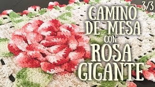 CAMINO DE MESA  ROSA GIGANTE 33 [upl. by Hsirrehc503]