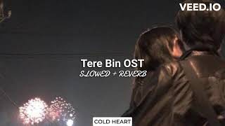 Tere Bin OST SLOWED  REVERB  Shani Arshad  COLD HEART [upl. by Terra]