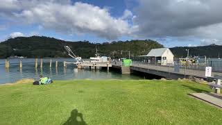 Whitianga Costal Walk Ferry Landing Discovering North New Zealand whitianga coast ferry beach [upl. by Odicalp776]