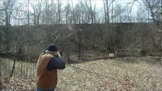 Shooting a Ruger 1022 with a TriMag [upl. by Cuttie425]