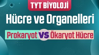 14 Hücre ve Organelleri  Prokaryot ve Ökaryot Hücre Farkları [upl. by Eicirtap]