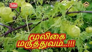 மூலிகை மருத்துவம்Tamil Medicine Siddha maruthuvam  Patti Vaithiyam [upl. by Corette]