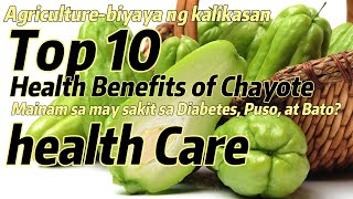 agriculture Top 10 Health Benefits of ChayoteMainam para sa DiabetesPuso at Kidney [upl. by Justina]