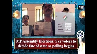 MP Assembly Elections 5 cr voters to decide fate of state as polling begins  Madhya Pradesh News [upl. by Alyosha]