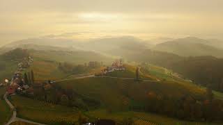 Weinberge im Nebel 7 11 2024 [upl. by Yoshiko]