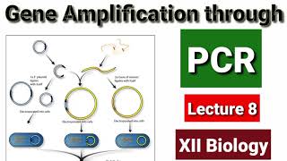 Gene Amplification through PCR Lecture 8 [upl. by Tyson]