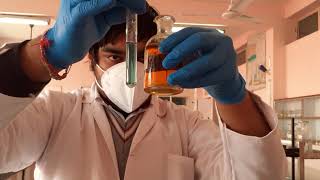 Test for SULPHITE ion  Anion Analysis class 11 and 12 chemistry practicals [upl. by Priebe]