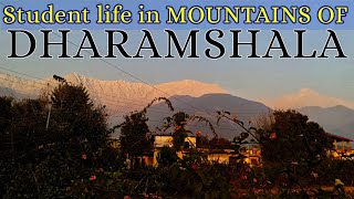 WONDERFUL DAY IN MOUNTAINS OF DHARAMSHALA HIMACHAL PRADESH MOUNTAIN VLOGS [upl. by Adlen]