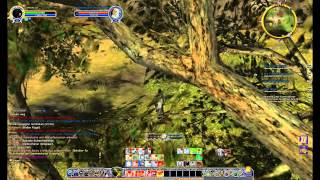 Lets Play Herr der Ringe  Online PC  Deutsch  German Part 100  Zwerg und Krähenjagd [upl. by Werdnael]