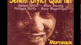 Senem Diyici Quartet  Dolama Dolamayı [upl. by Wright]