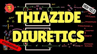 THIAZIDES DIURETICS Mechanism of action Side effect Pharmacology USMLE [upl. by Leinadnhoj245]