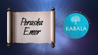 Kabala Shomrim Laboker  Perasha Emor Causa y Efecto [upl. by Daraj]