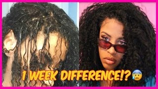 WTF Ruined My Natural Hair  How I got it back [upl. by Ashia]