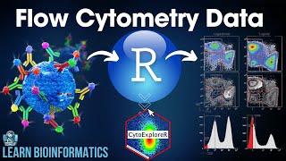 Flow Cytometry Data Analysis in R  A Complete Tutorial 2024 [upl. by Notsuj]