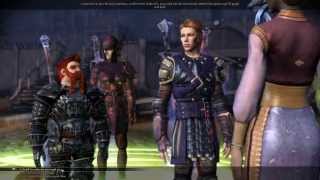 Gay Lets Play Dragon Age Awakening  Part 2 Level From a Lever [upl. by Rasia]