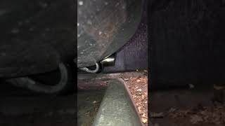 8th gen civic cold start magnaflow exhaust [upl. by Neicul643]