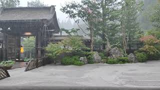 raining at koyasan temple relaxing rain [upl. by Queen766]