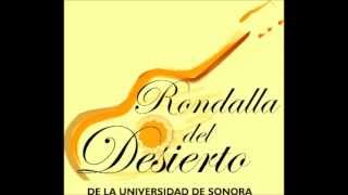 Ay Amor  Rondalla Del Desierto [upl. by Ivey800]